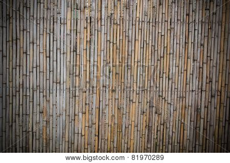 Bamboo Wall