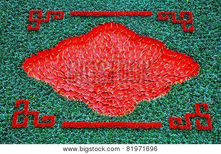 Background With Red Flamingo Lily Flowers, Calla Lily