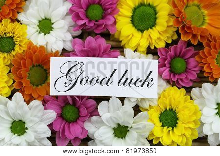 Good luck card with colorful santini flowers