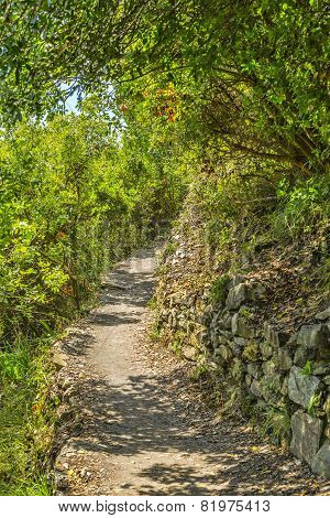 Footpath In Cinque Terre National Park