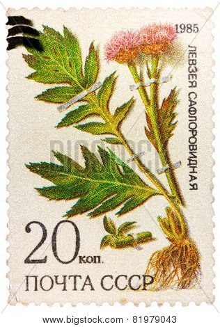 Stamp from USSR, shows medicinal plant from Siberia