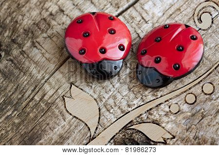ladybugs