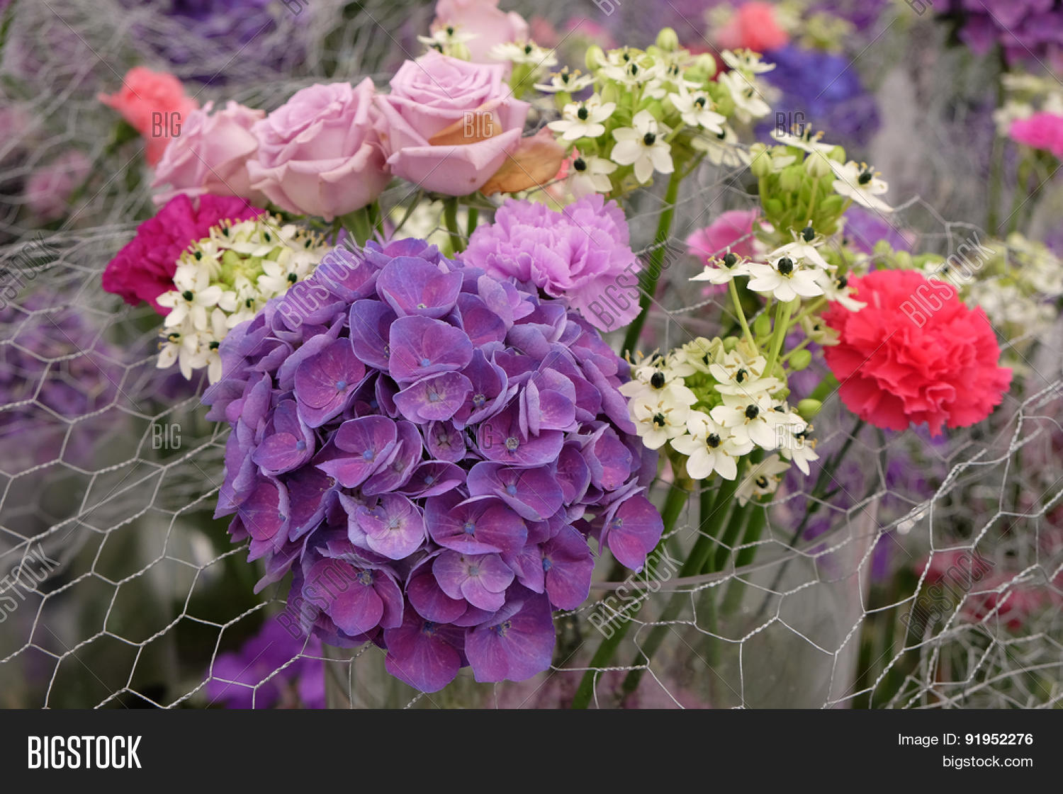 ZAGREB, CROATIA MAY Image & Photo (Free Trial) Bigstock