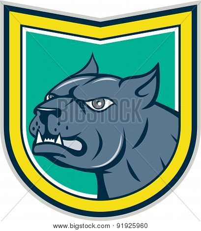 Pitbull Dog Mongrel Head Side Shield Cartoon