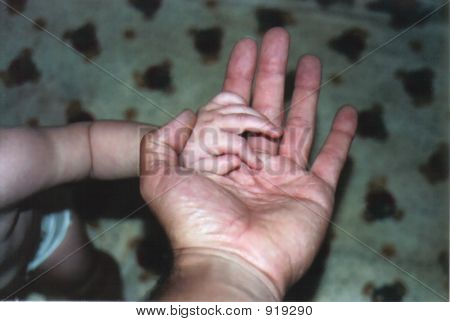 Dadnsonhands2