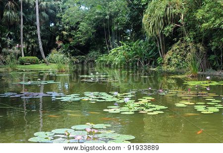 Botanical Garden Of Deshaies In Guadeloupe