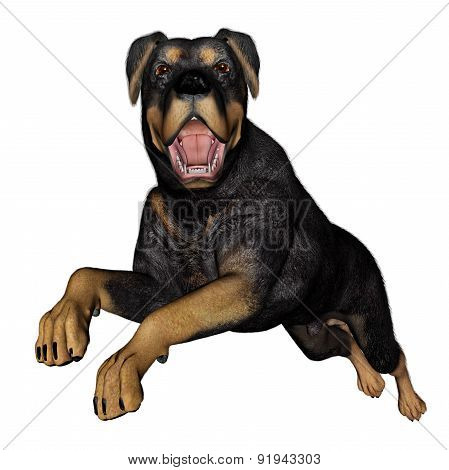 Rottweiller dog runnning - 3D render