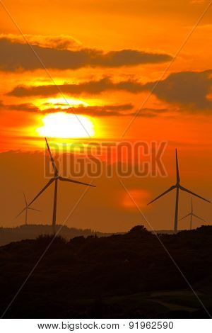 Wind Turbines at sunset