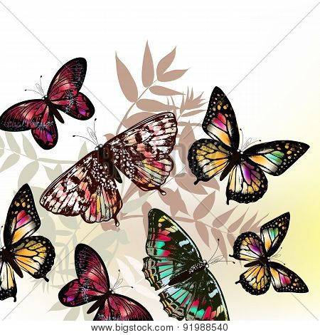 Butterfly Fashion Pattern