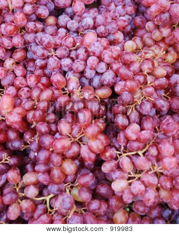 Grapes1