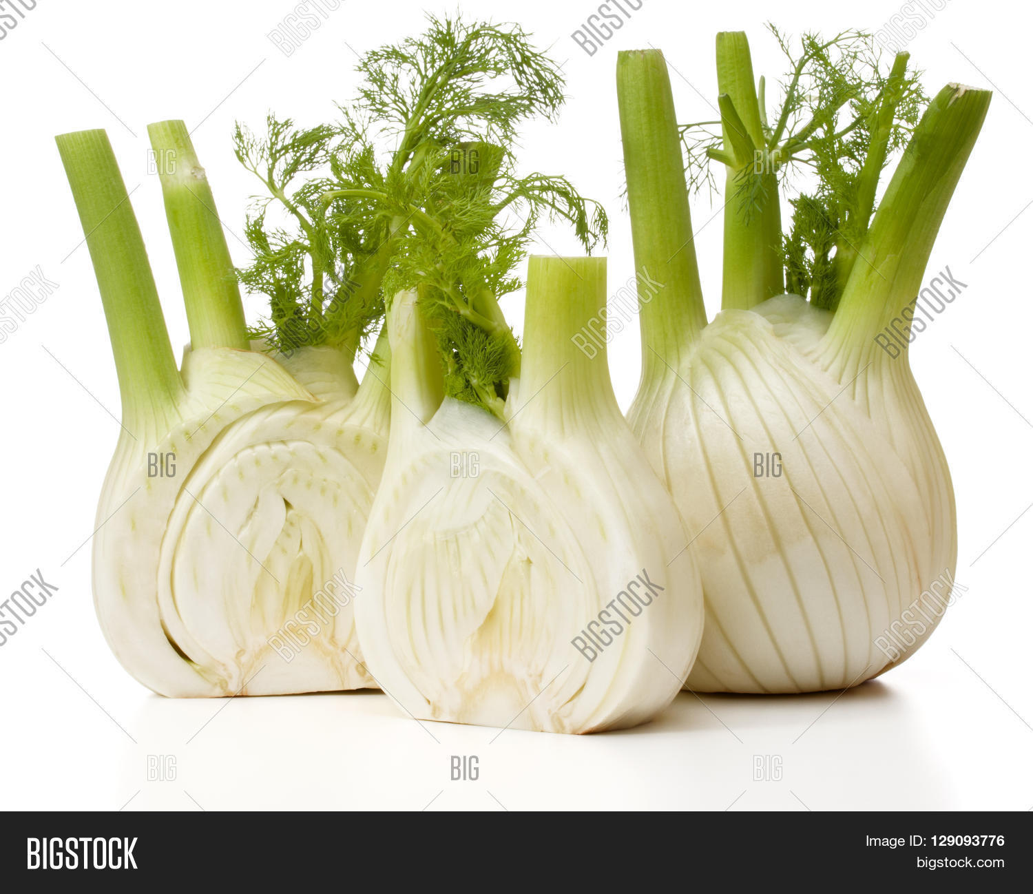 Fresh Fennel Bulb Image & Photo (Free Trial) Bigstock