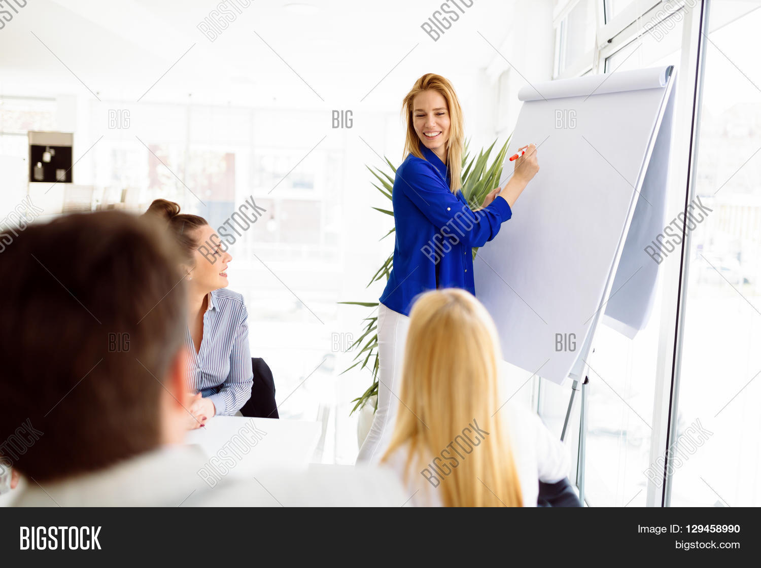 Business Plan Image & Photo (Free Trial) | Bigstock