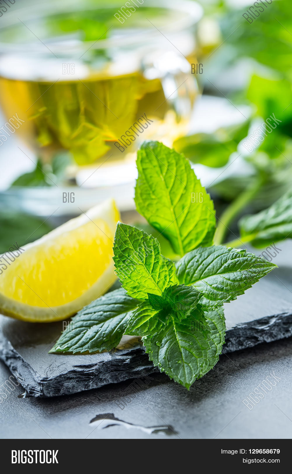 Mint Leaf. Mint Leaves Image & Photo (Free Trial) Bigstock