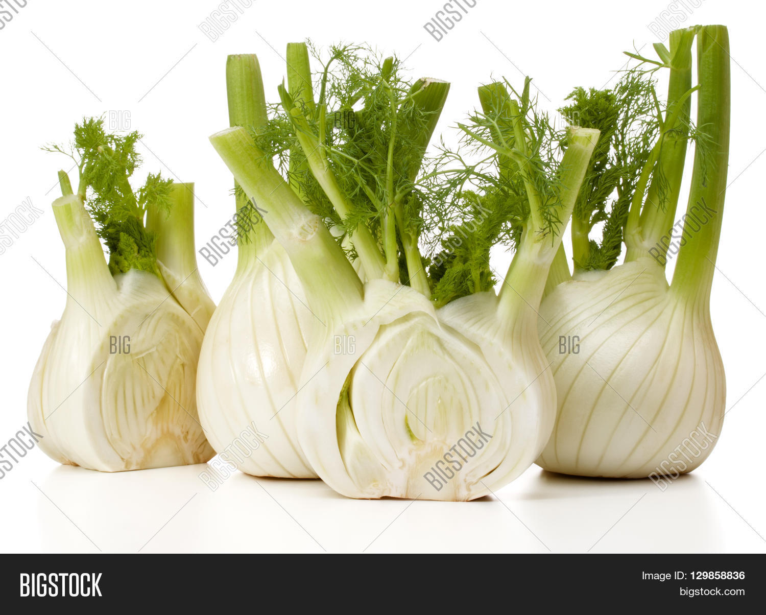 Fresh Fennel Bulb Image & Photo (Free Trial) Bigstock