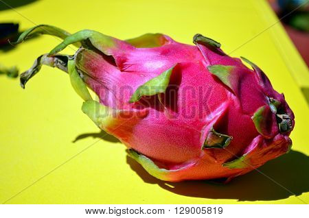 pink dragonfruit on a yellow background in sunlight