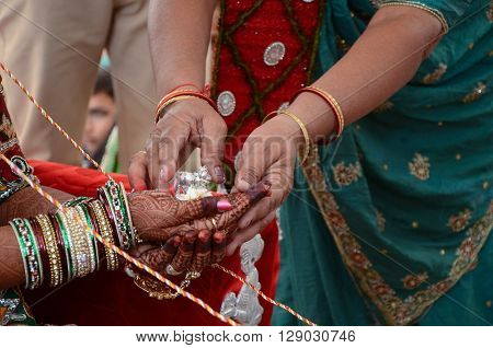 Women Give A Steel Cow To Her Sons Bride For Performing Indian Wedding Rituals