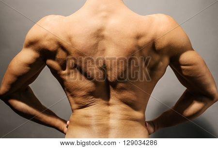 Image of wellshaped and muscular bodybuilder's back