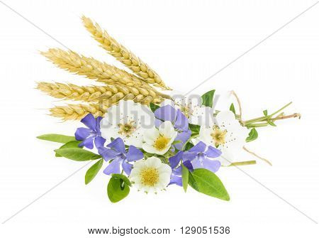 Wheat with flowers isolated on white. close up