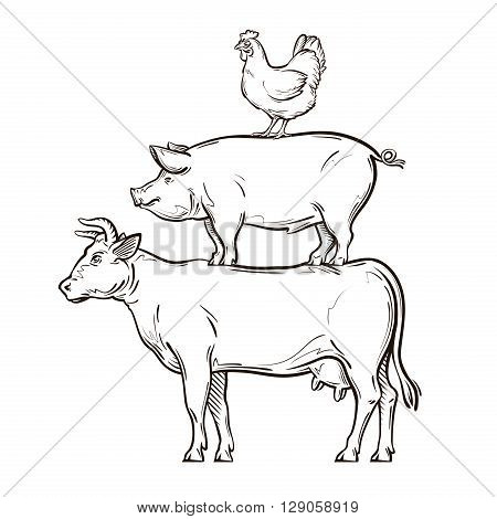 hand drawn sketch farm animals. vector illustration