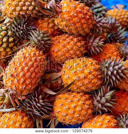 Maui gold pineapples on display at the farmer's market in Thailand