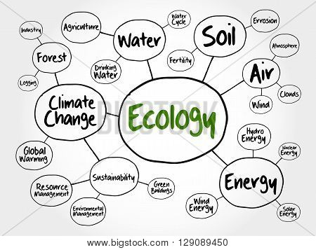 Ecology mind map flowchart concept for presentations and reports