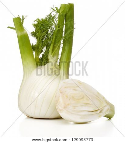 Fresh fennel bulb isolated on white background close up
