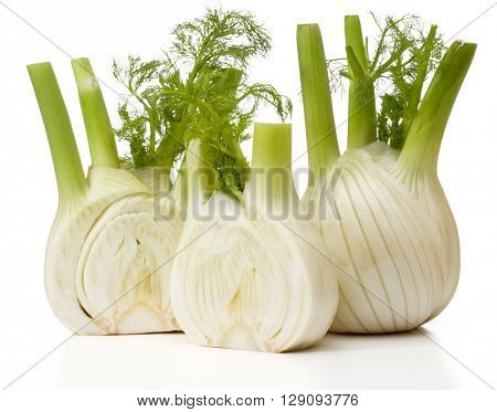 Fresh fennel bulb isolated on white background close up