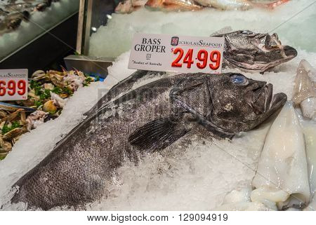 Sydney Australia - November 11 2014: Fresh Bass Groper fish and other seafood on the Famous Sydney Fish Market Sydney New South Wales Australia.. 52 tonnes of seafood are selling at auction on this market every day.