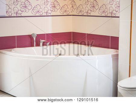modern free standing ceramic bath tub with slim shower attachment