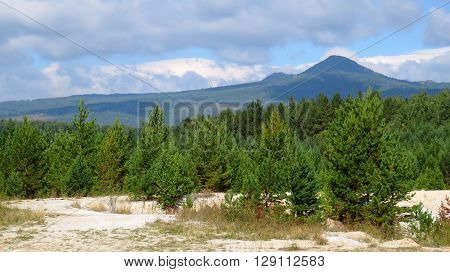 High mountain peak in a forest summer time