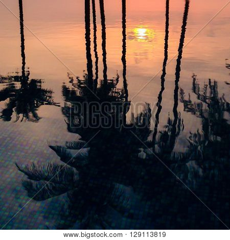 Reflection of coconut trees and sugar plam tree in turquoise color swimming pool