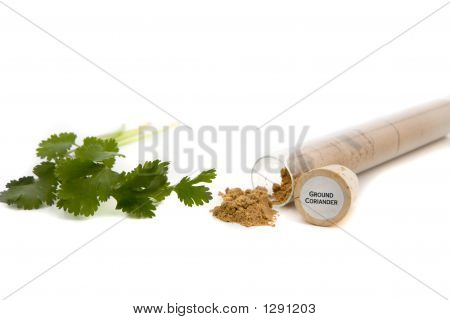 Coriandolo 