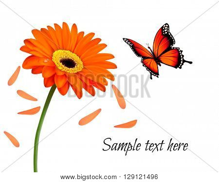 Nature summer orange flower with butterfly. Vector illustration.