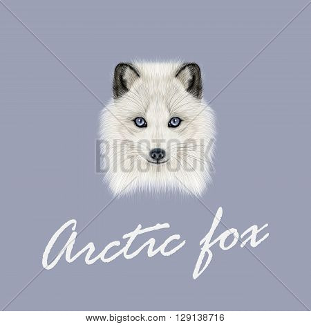 Vector Illustrated Portrait of Arctic fox. Cute white fluffy face of Polar Fox on dark blue background.