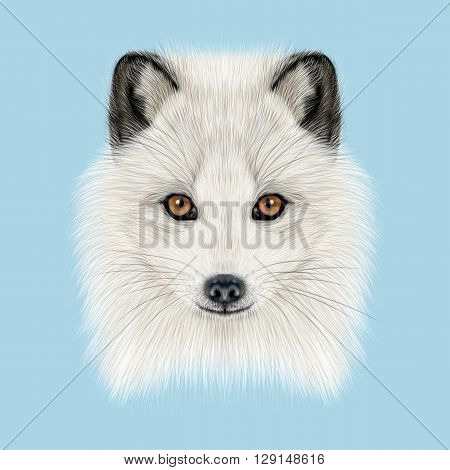 Illustrated Portrait of Arctic fox. Cute white fluffy face of Polar Fox on blue background.