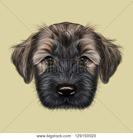 Illustrated Portrait of Briard puppy. Cute face of fluffy dog on tan background