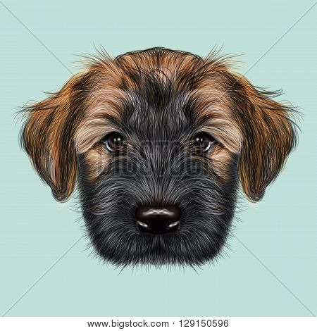 Illustrated Portrait of Briard puppy. Cute face of fluffy dog on blue background