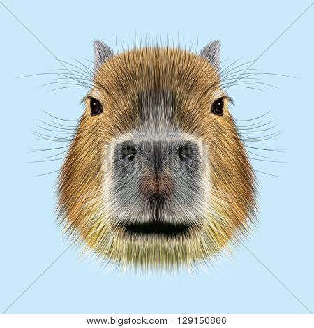Illustrated Portrait of Capybara. Cute face of wild Capybara on blue background.