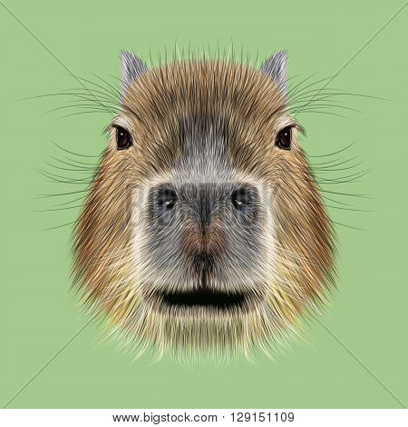 Illustrated Portrait of Capybara. Cute face of wild Capybara on green background.