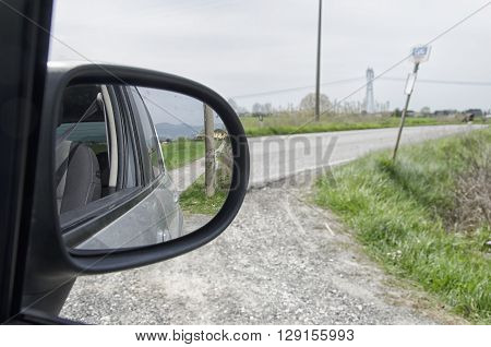 Country road seen from the rearview mirror