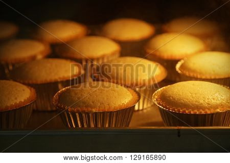Cup cakes baking in oven homemade barkery