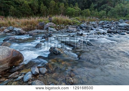Beautiful Reshi River water flowing through stones and rocks at dawn Sikkim India. Reshi is one of the most famous rivers of Sikkim flowing through the state and serving water to many local people.