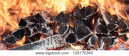 the fire on the wood, charred wood, ash