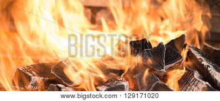 the fire on the wood, charred wood, ash
