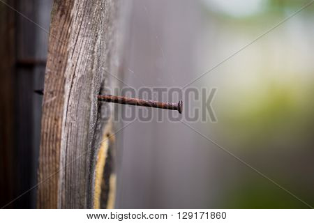 old wooden Board with a rusty nail, macro shooting