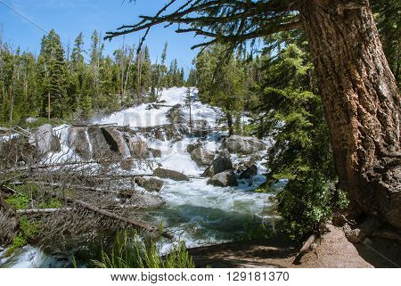 Crazy Creek Cascade in an area Beartooth Highway Wyoming USA