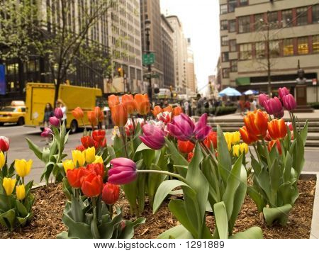 Spring City