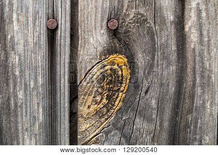 Wooden Board With A Rusty Nail