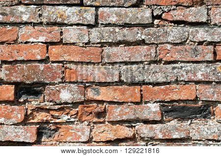 Exterior brick wall in sunlilght with damage to tfhe brickwork