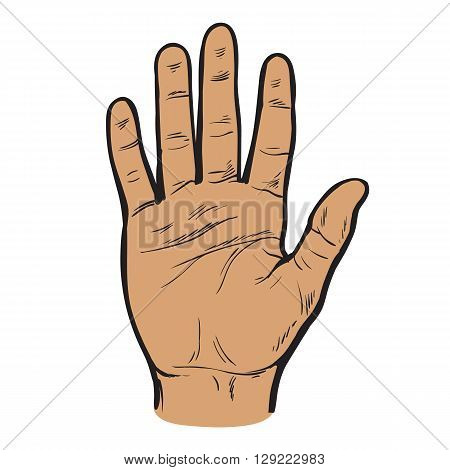 One hand. Hand showing five fingers. A welcome gesture. Stopping gesture. stop character. Opened palm of the hand. Painted hand. Contour arm. Illustration of five fingers.
